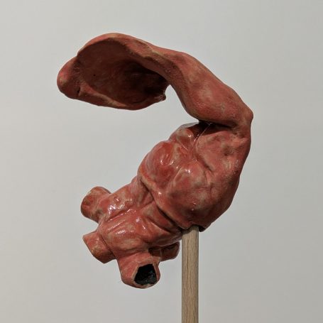 Modell eines menschlichen Ohrs, skulptural dargestellt und auf einem Ständer montiert.